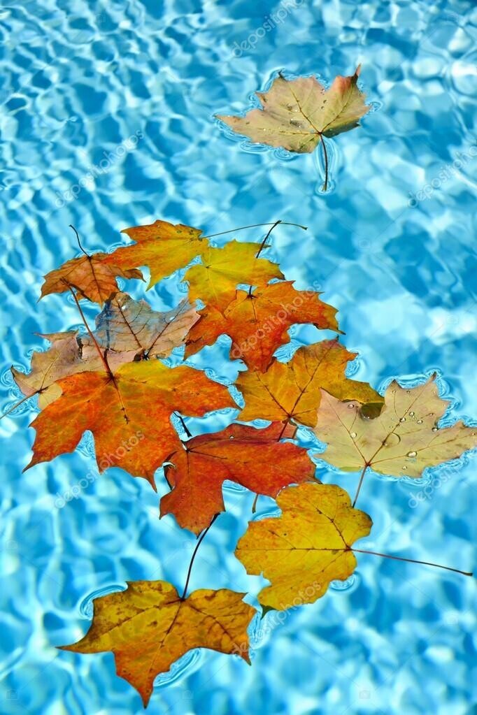 OTEVÍRACÍ DOBA V OBDOBÍ POZDZIMNÍCH PRÁZDNIN: